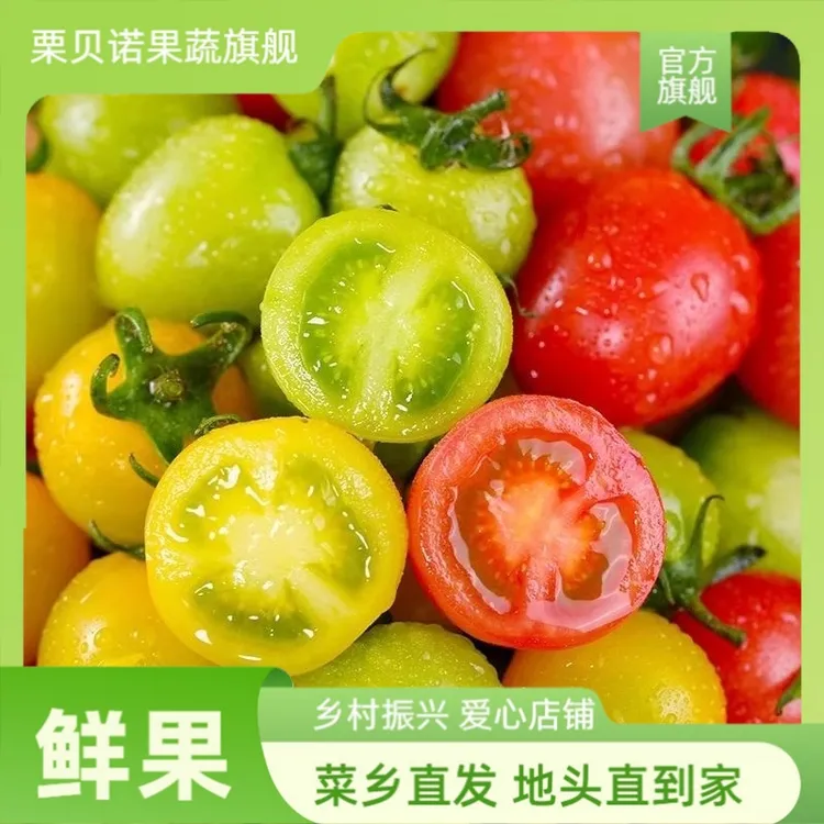 山东三色爆汁小番茄口感小番茄酸甜多汁原产地直发现摘现发