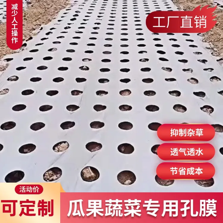 打孔银黑地膜塑料膜除草保温草莓蔬菜药材羊肚菌种植专用有孔薄膜