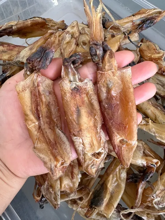 电白船晒鱿鱼筒干生晒小鱿鱼干海产干货可煮煎焖烧烤食材