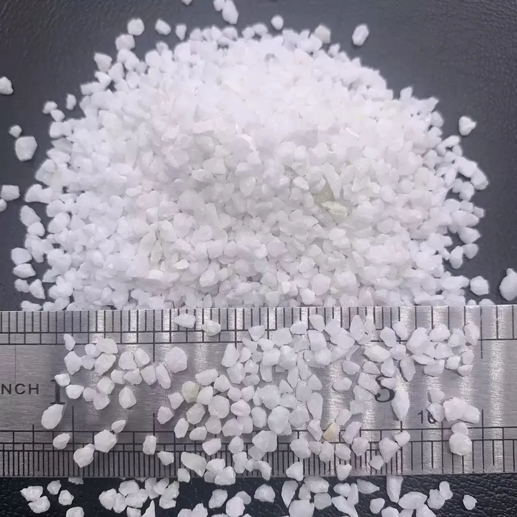寄居蟹用品白沙子4-6mm干净透白观赏高大小蟹适用
