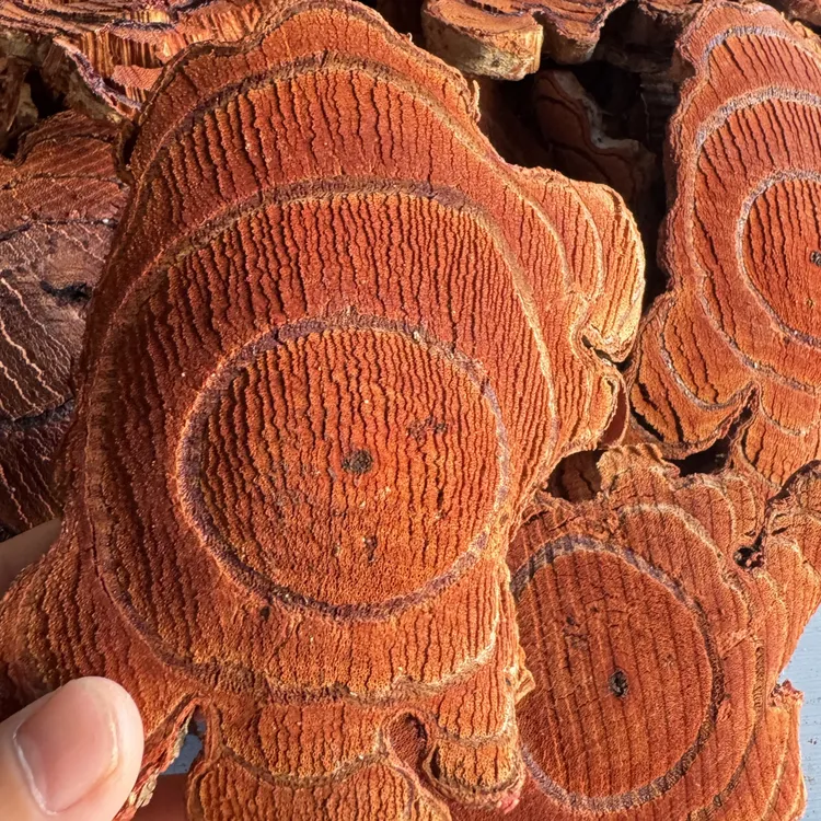 云南深山鸡血藤干片成色红，汁液多，纯手工刀切，自然晾晒