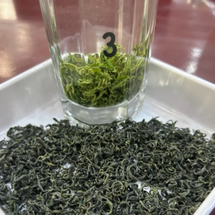 白溢春2025年新茶五峰采花台高山茶叶雨前特级螺青口粮茶浓香味