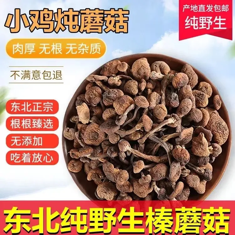 【精选榛蘑】干货无根鲜美深山精选榛蘑新货东北特产小鸡炖蘑菇