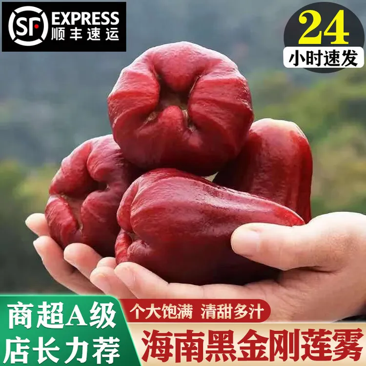 【顺丰快递】海南黑金刚莲雾树上熟3斤5斤当季新鲜水果清脆爽口