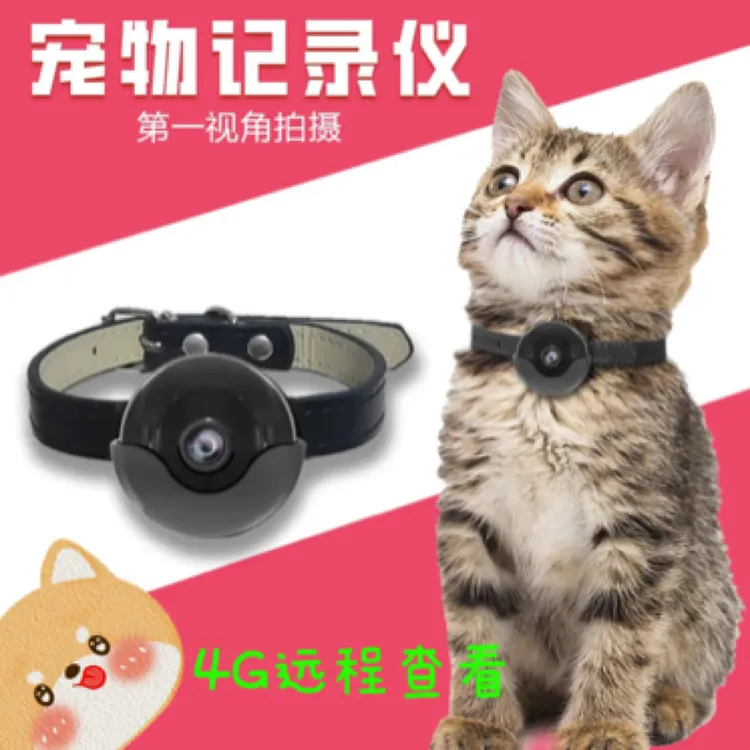 4G远程实时猫狗宠物第一视角挂脖记录仪摄像机监控直播项圈背带