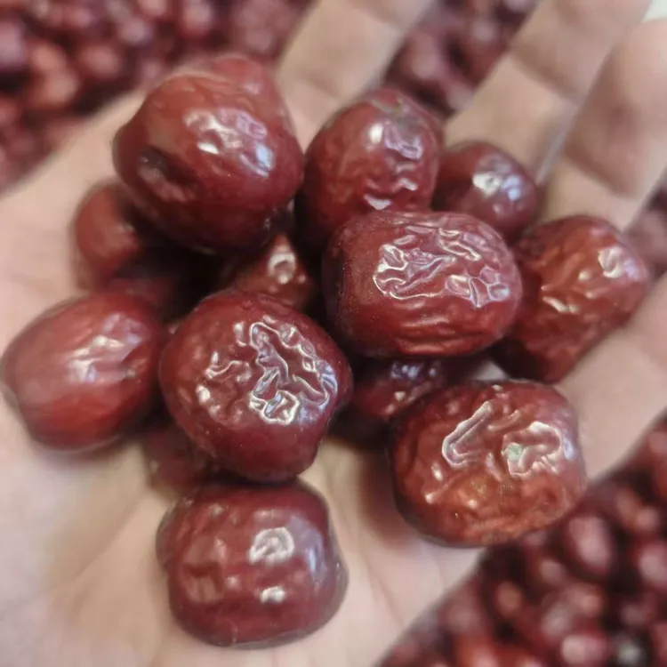 稷山板枣800年古树原生态核小皮薄未清洗孕妇零食特产