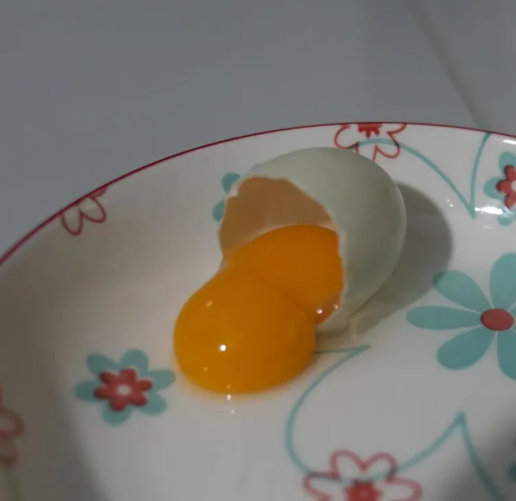 双黄鸭蛋 鲜蛋生鲜 精挑细选新鲜双黄鸭蛋大个头 70g-80g