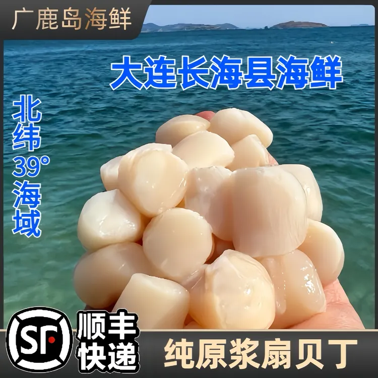 大连原浆扇贝丁包邮新鲜大连扇贝小红贝扇贝柱