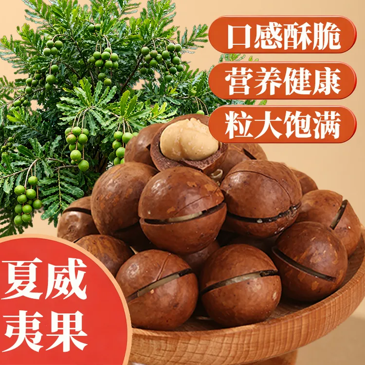 新货夏威夷果粒大奶香休闲零食孕妇每日坚果壳薄肉厚酥脆营养健康