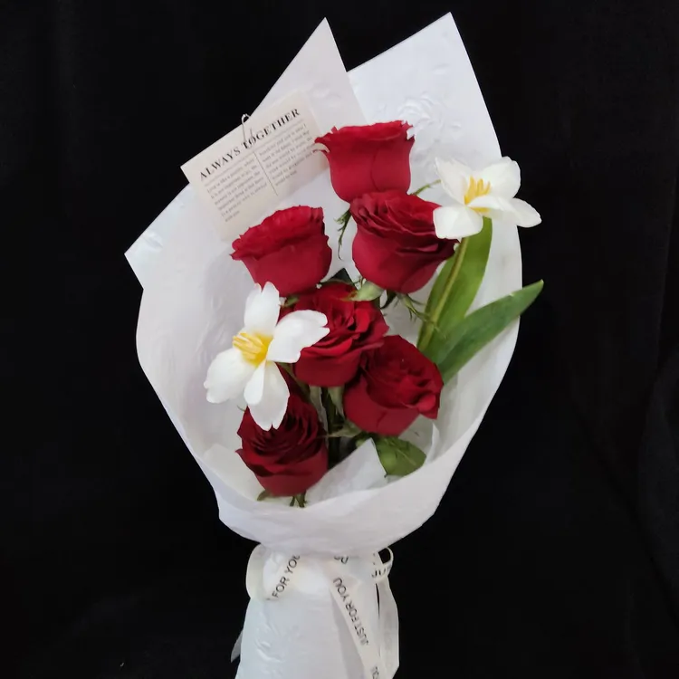 【热烈纯洁的爱】6支红玫瑰白色郁金香见面花束送女友送爱人送闺蜜