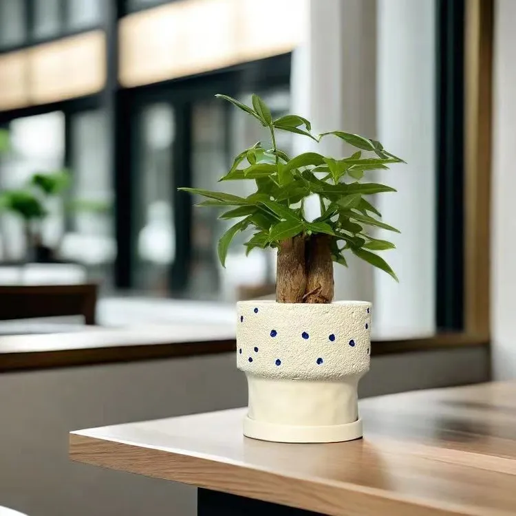 水泥花盆北欧个性ins豆色月球纹雨点清新仙人掌绿植室内透气网红