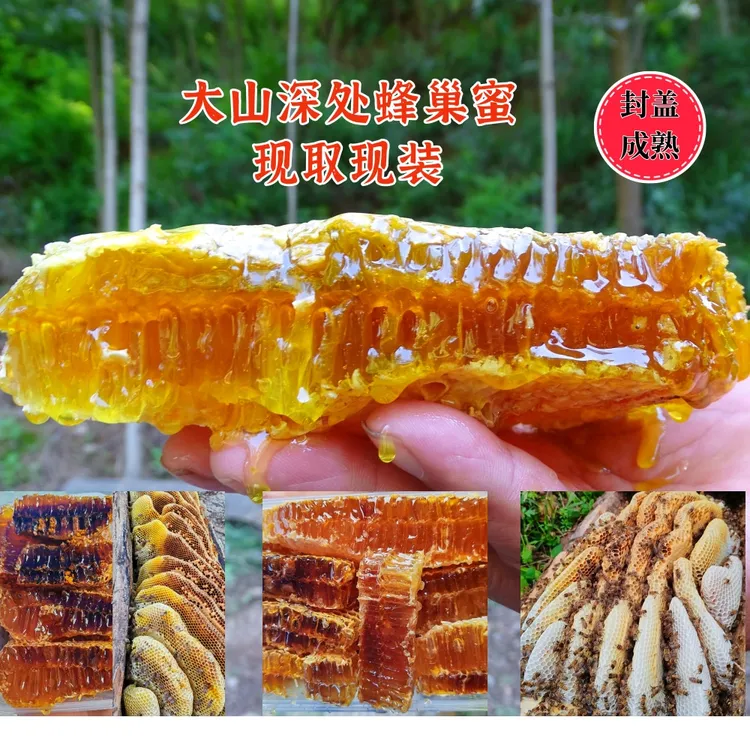秦岭土蜂蜜农家土蜂蜜（现取现装）—蜂巢蜜