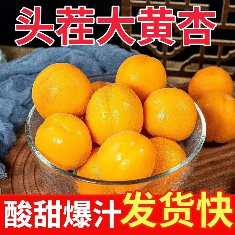 陕西大黄杏金太阳5斤应当季孕妇酸杏包邮青杏子甜杏新鲜水果整箱3