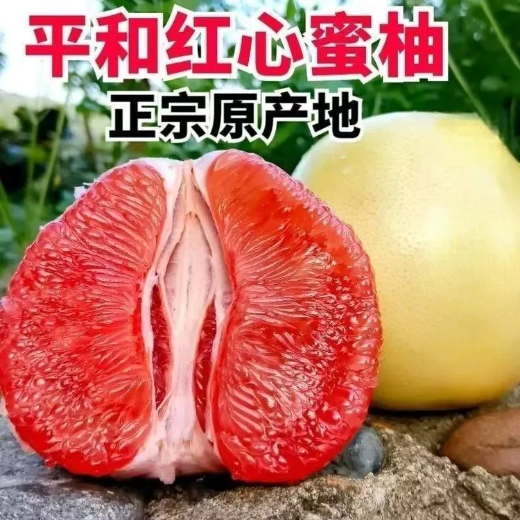 正宗福建平和琯溪红心蜜柚红柚红肉薄皮非三红柚应季水果整箱