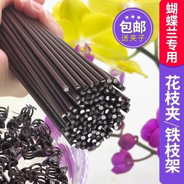 蝴蝶兰支撑杆与兰花夹子园艺秋海棠蔓藤植物固定绿植固定支架花杆