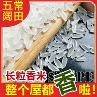 五常阔田 长粒香米 2025年新米 东北黑龙江好大米 10斤装