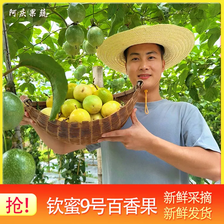 正宗钦蜜9号百香果当季水果精品果5斤装