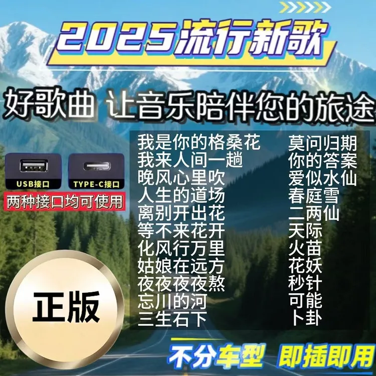 车载u盘歌曲2025新款无损音乐高品质汽车网红dj柏林之声优盘