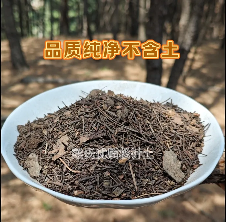 松针腐殖土养花种菜通用型营养土铃兰花鹿角天牛蓖麻子夜来香家用