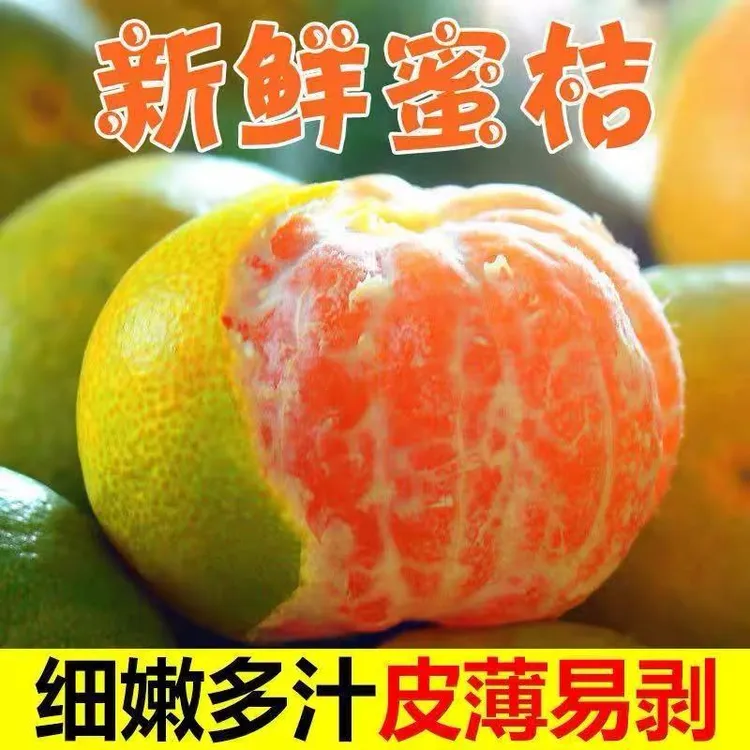 【皮薄无籽】现摘蜜橘黄了皮薄无籽蜜橘皮薄水果特早青皮酸甜桔子
