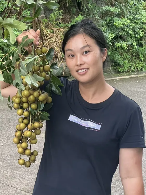 中（顺丰包邮）正宗四川书楼储良龙眼现摘现发当季新鲜清甜多汁水果