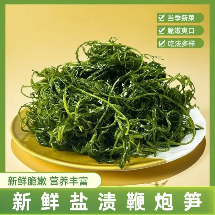 【3袋9,9】250g/袋新鲜盐渍鞭炮笋海藻长寿菜龙须菜火锅食材凉拌菜