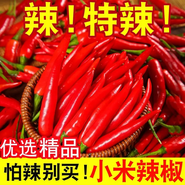 农家新鲜红辣椒小米辣椒鲜椒小辣椒现摘现发餐饮饭店专供