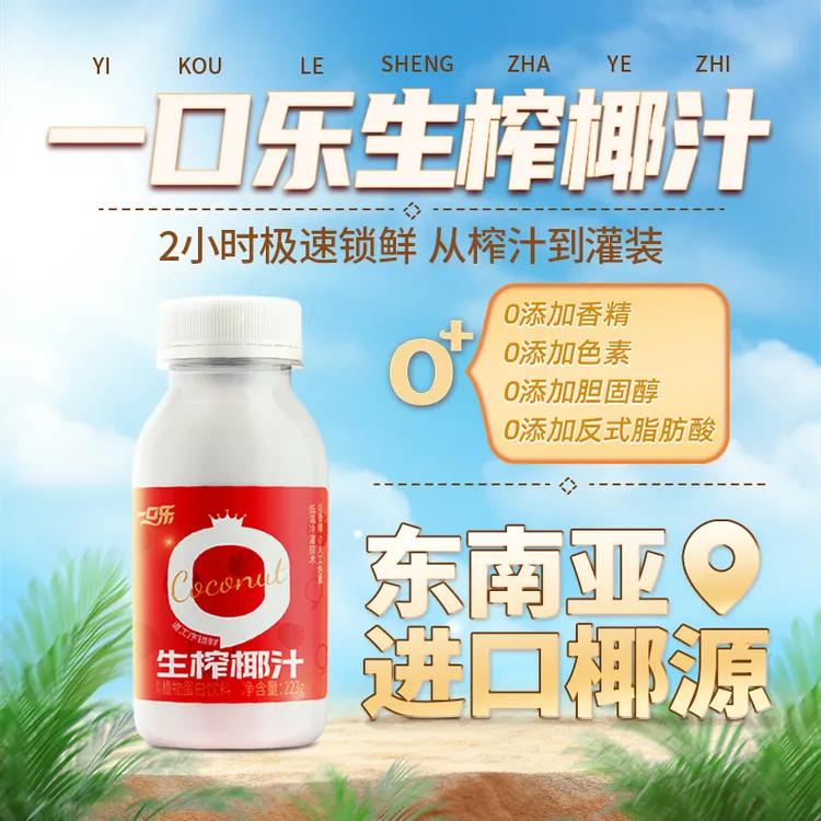 禅宝一口乐生榨椰子汁椰汁椰奶植物蛋白饮料223g*10瓶*2箱