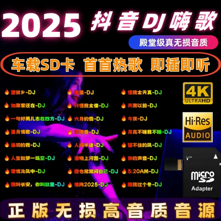 重低音SD存储卡车载音乐TF内存卡抖音热门流行歌曲dj2025音响耳机
