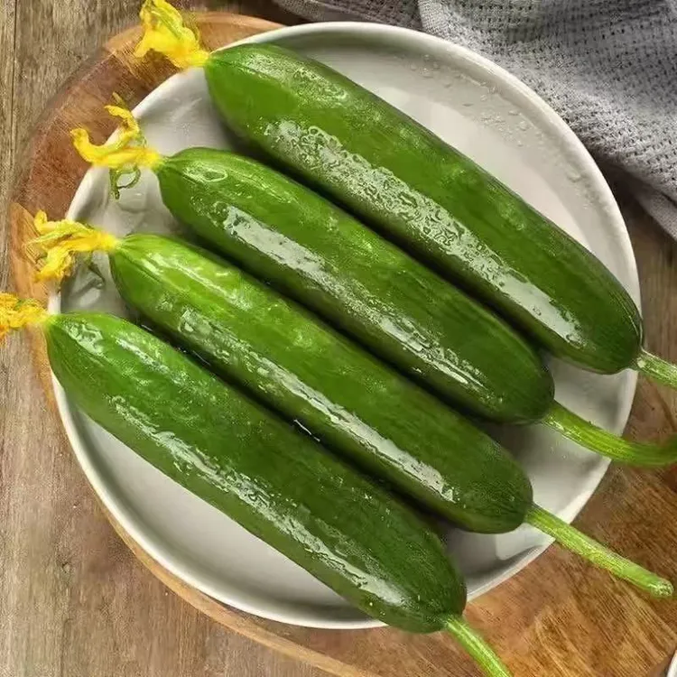 寿光新鲜水果小黄瓜无刺现摘生吃清脆清香好吃蔬菜