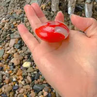 和田玉（糖玉）未镶嵌颈饰白红