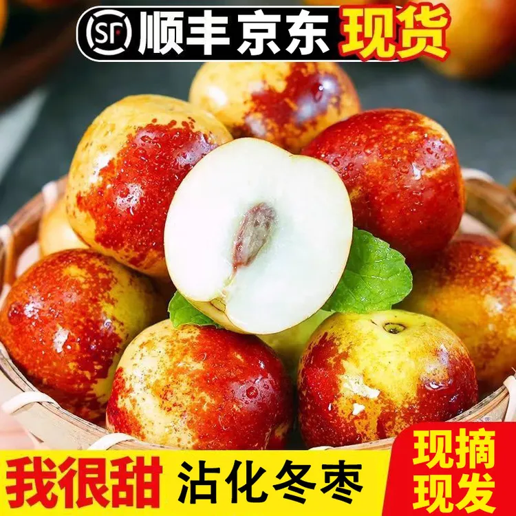 S1正宗山东沾化冬枣应季新鲜水果脆枣现摘现发