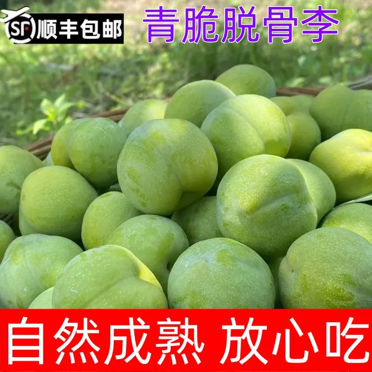【又脆又甜】正宗高山脆李重庆万州青脆李脱骨李现摘现发巫山脆李甜
