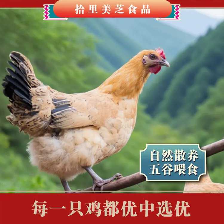 拾里美芝湖北荆门特产风干鸡味美风干鸡十里铺腊香鸡B