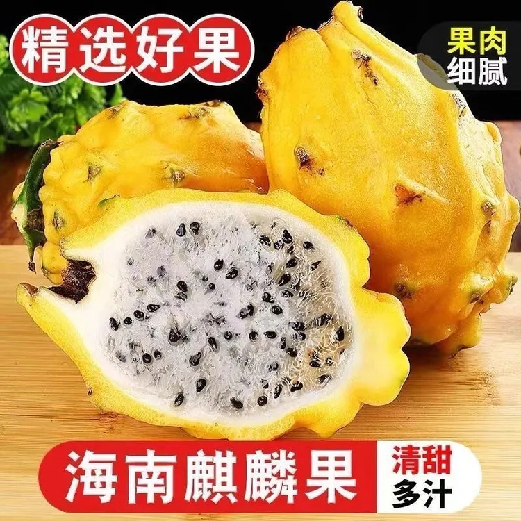 海南麒麟果燕窝果新鲜应季高端稀有水果口感清甜果园新鲜采摘发货