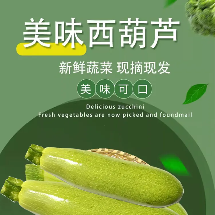 西葫芦脆嫩爽口健康美味新鲜蔬菜新鲜现摘健康蔬菜