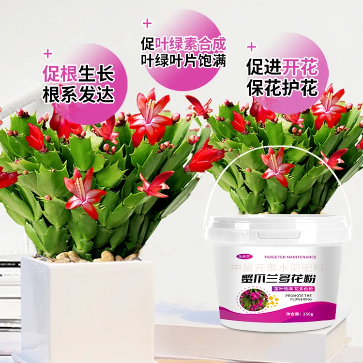 【急救】蟹爪兰专用多花粉促开花解决叶子变软枯萎倒伏发黄颗粒缓释