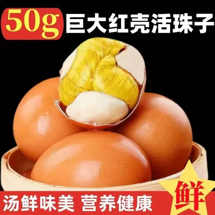50克大个红壳正宗13天活珠子五香香辣鸡胚蛋钢化蛋喜蛋开袋即食