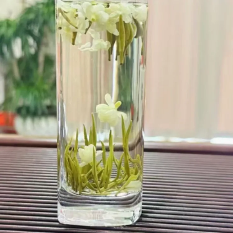 头采全芽茉莉银针新茶茉莉花茶嫩芽针王