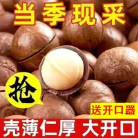 新货奶油味夏威夷果奶香味坚果袋装精选休闲零食干果批发小吃