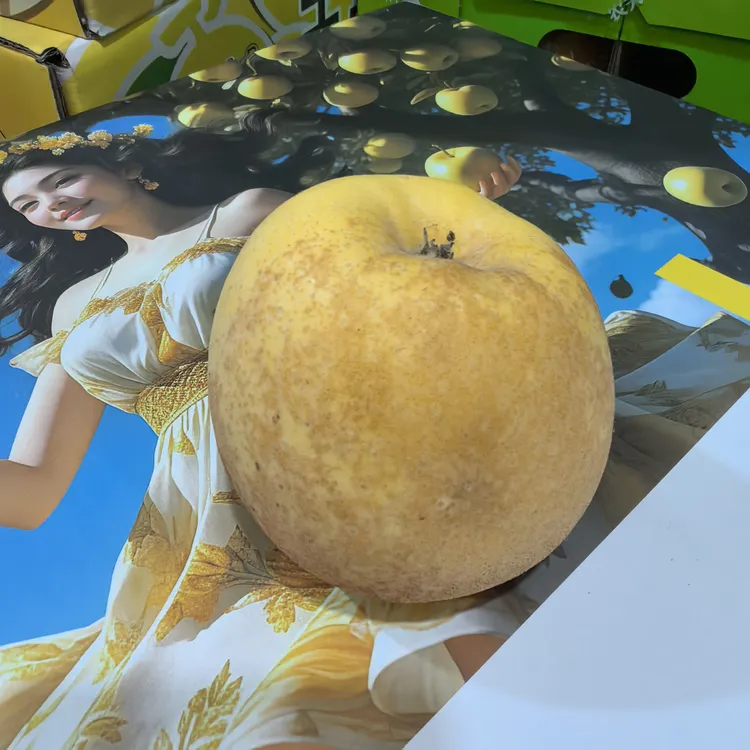 【新疆包邮】锈色鎏金维纳斯苹果小件含箱2Kg