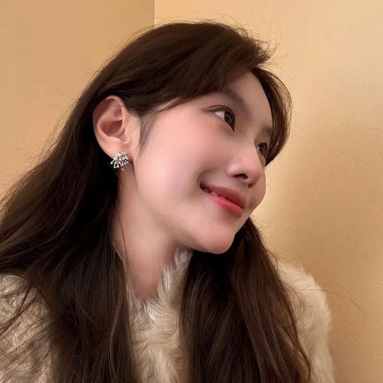 铜合金锆石耳饰 【璀璨烟花】珍珠满天星耳钉女超仙小众高级感耳饰