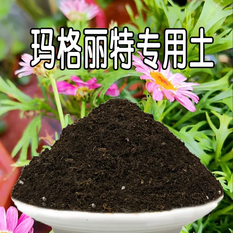 玛格丽特专用土玛格丽特专用营养土疏松盆栽土种花养花土通用种植