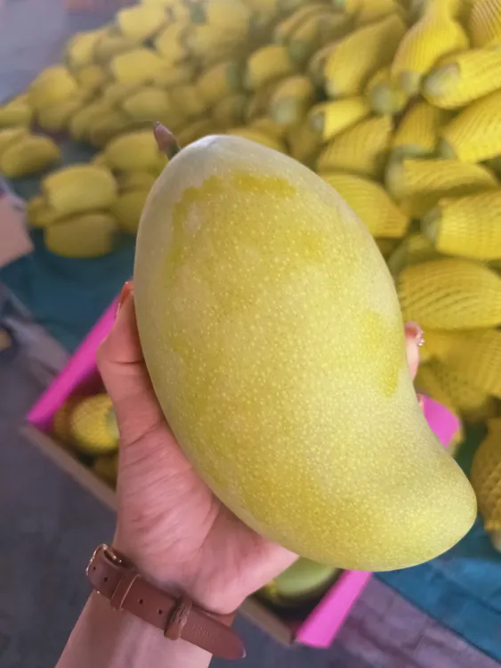 正宗广西百色精品黄皮金煌芒中大果现采现发