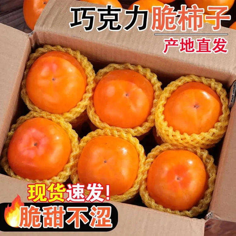 山西阳丰脆柿子 巧克力脆甜柿子 现摘现发 净重4.5斤