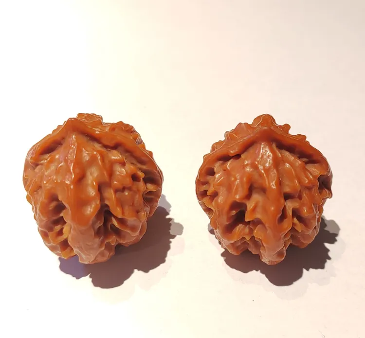 八棱尖齿龙不是一物一图没有运费险掌中宝小手捻文玩核桃小楸子