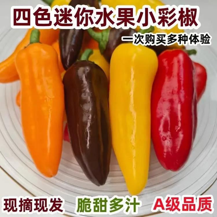 甜椒新鲜蔬菜水果椒1/3斤迷你小彩椒红黄橙咖低卡健身