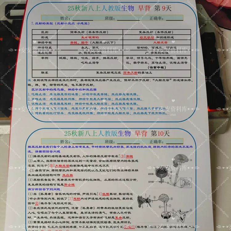 2025新版人教生物八年级上册背诵考试重点归纳每日一背+默写