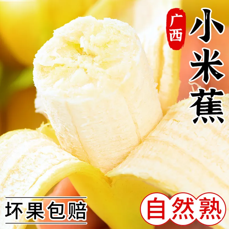 【香甜软糯】正宗广西小米蕉当季新鲜水果小香蕉产地直发小芭蕉甜蕉