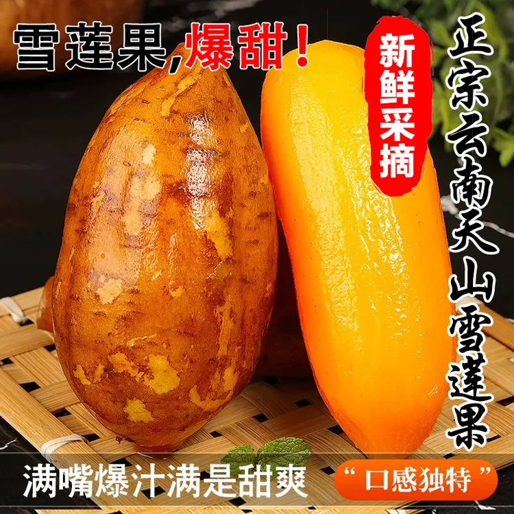 【产地直发】云南天山黄心雪莲果红心果清甜脆多汁新鲜现挖坏果包赔